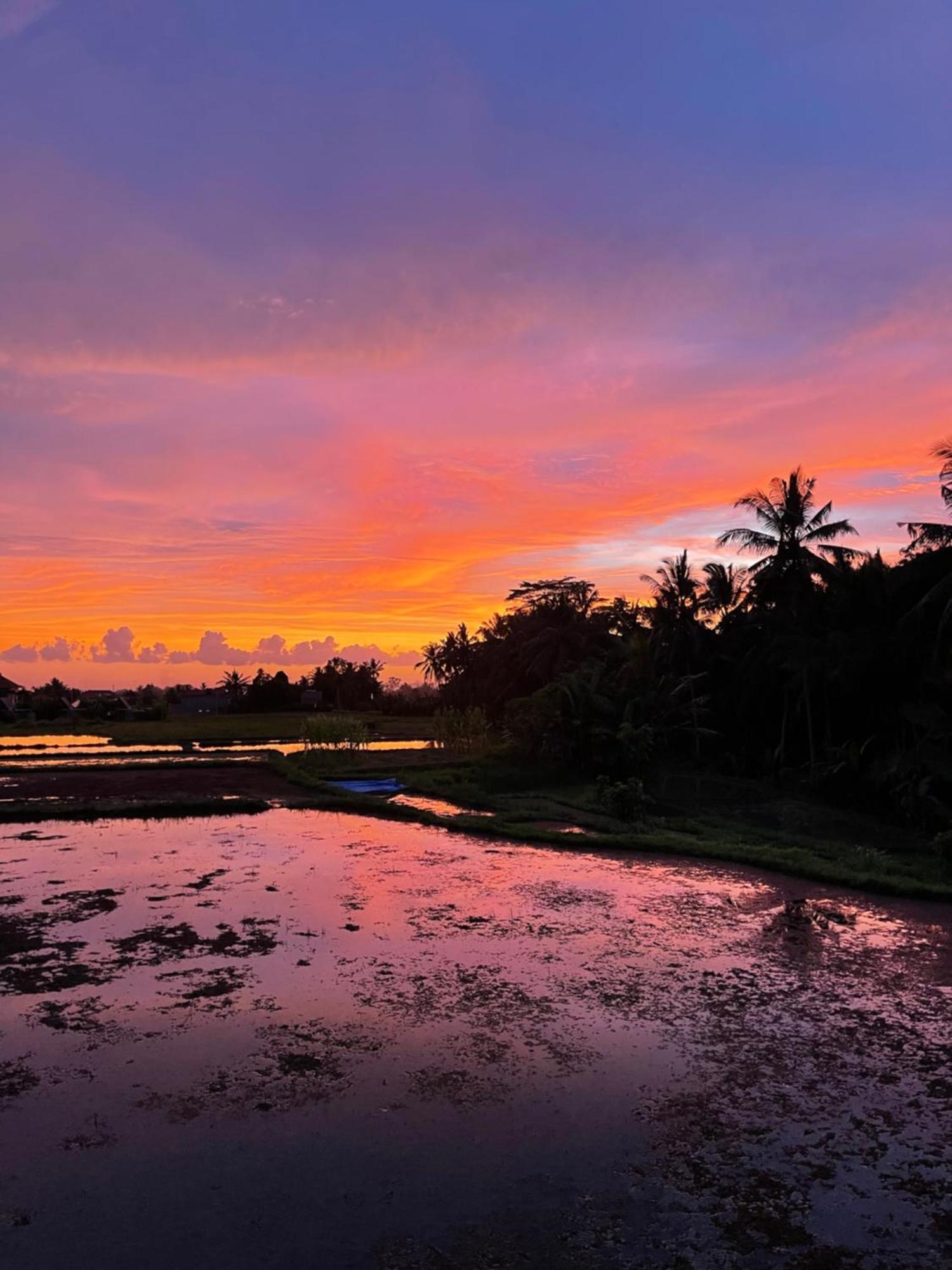The Luxe Ubud Exteriör bild