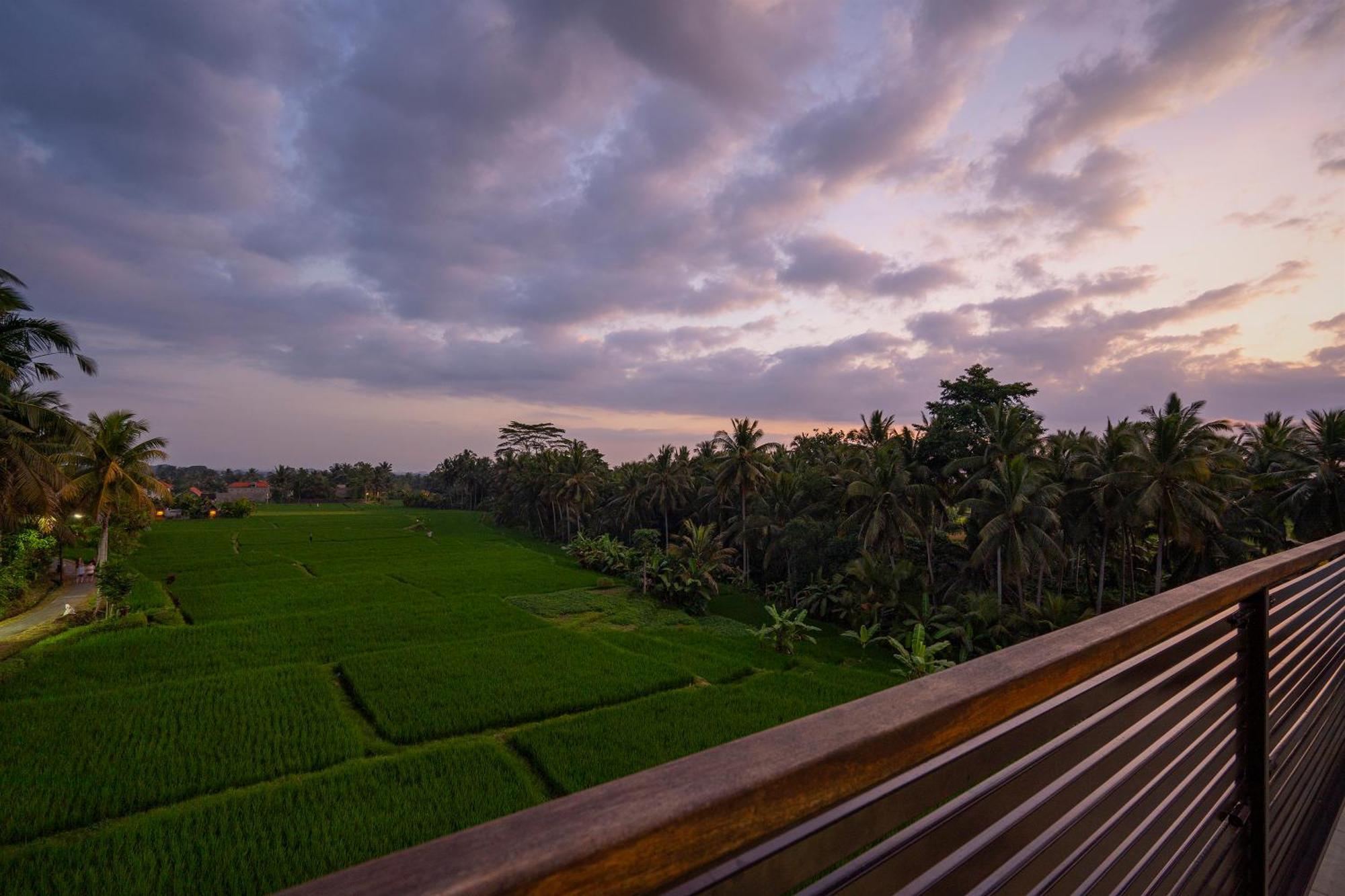 The Luxe Ubud Exteriör bild